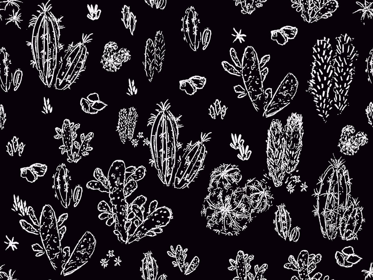 Черно белые паттерны кактусы