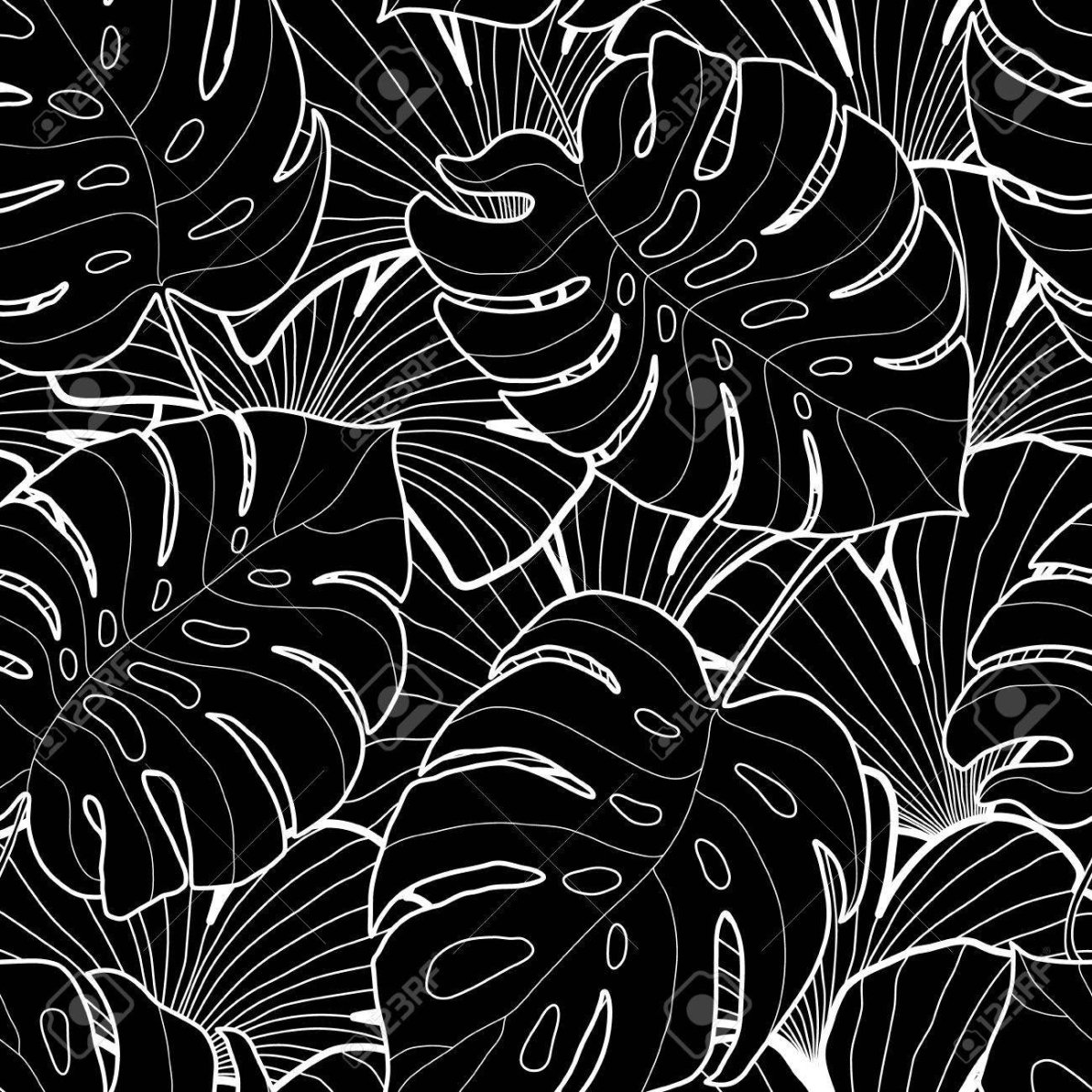 Тропические листья черно белые