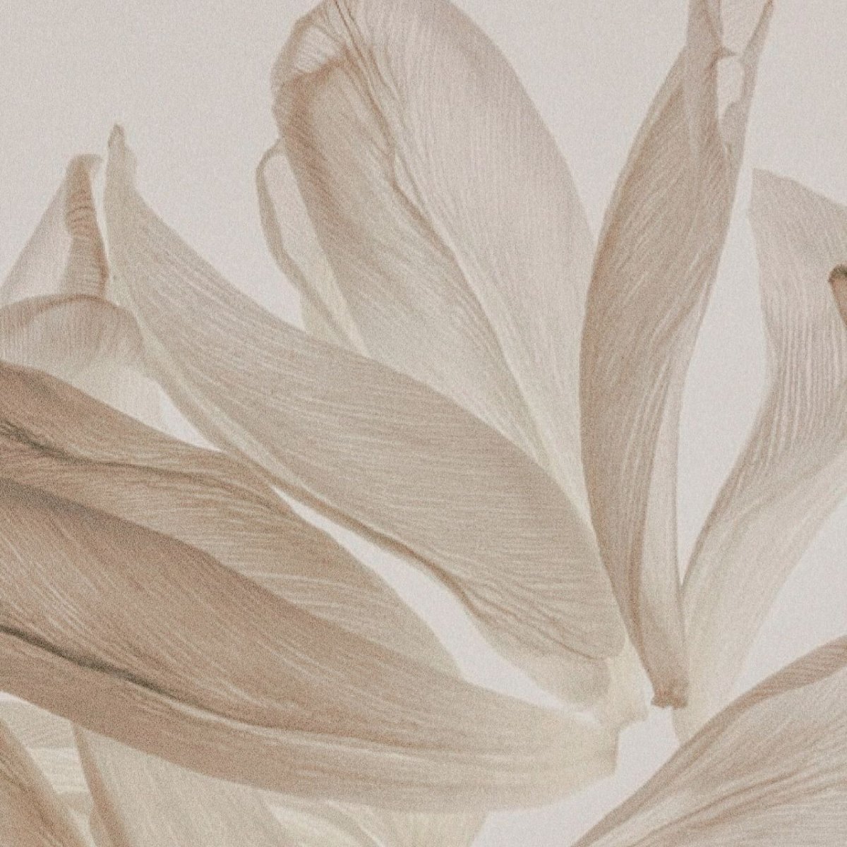 Бежевые растения