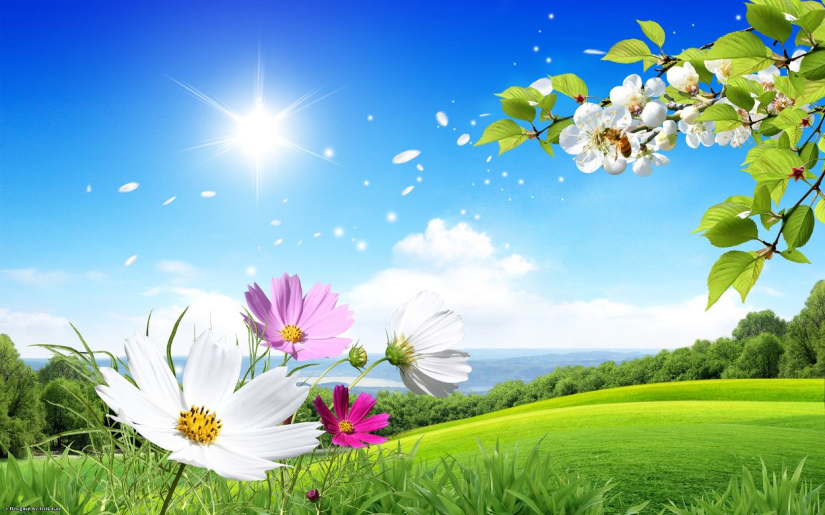 Баннер природа