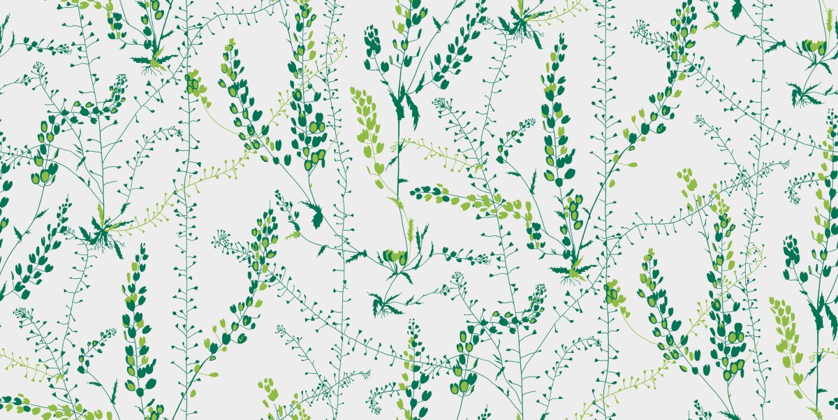 Обои Borastapeter Herbarium