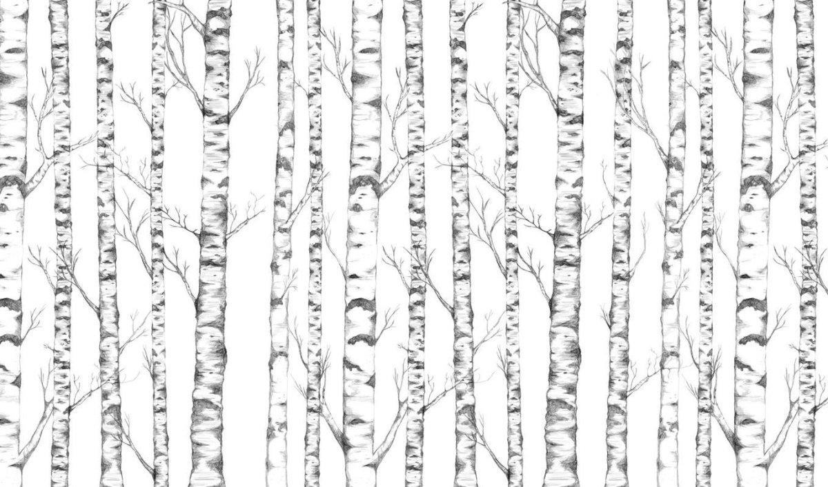 Обои с деревьями на стену