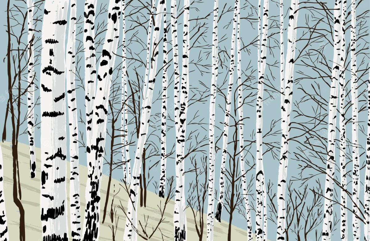 Березовая роща вектор