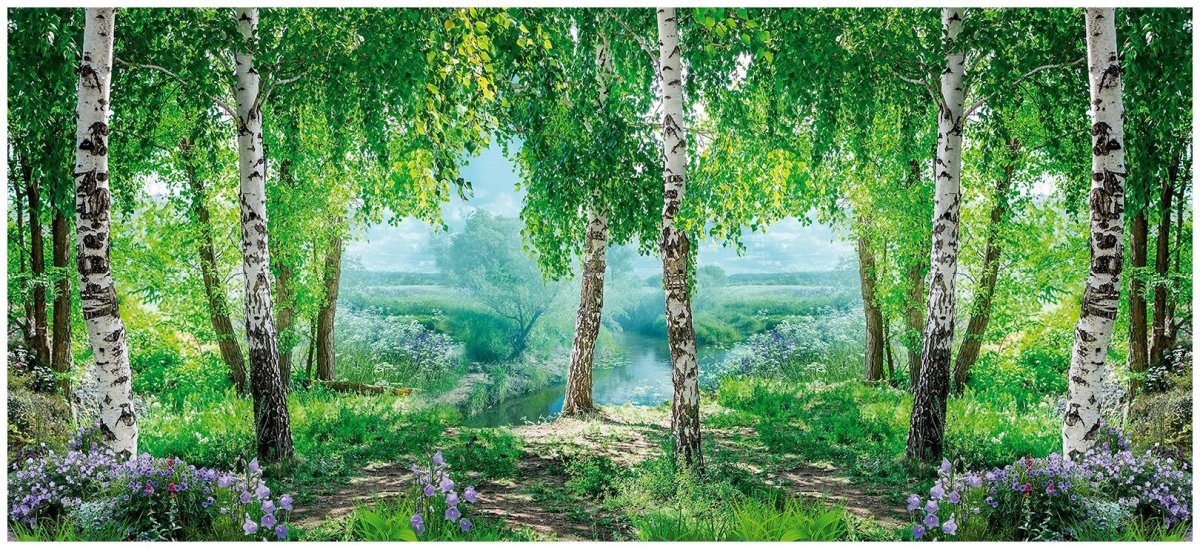 Природа России Березовая роща