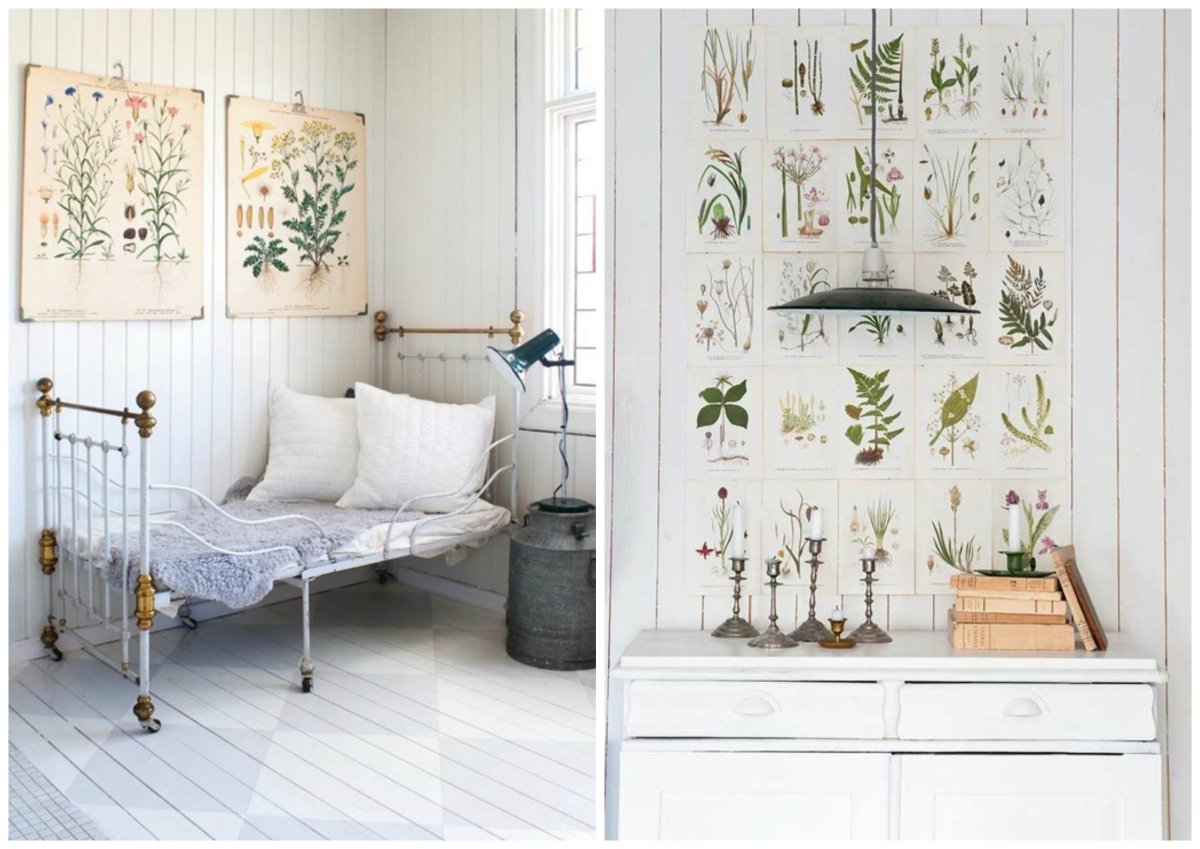 Постеры ботаника в интерьере
