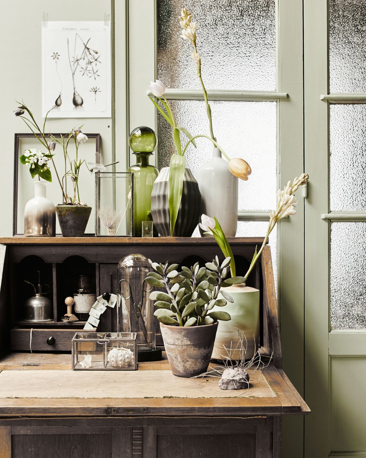 Стиль ботаника в интерьере