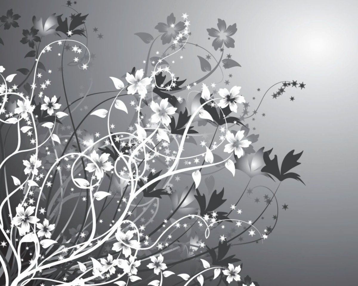 Цветы абстракция