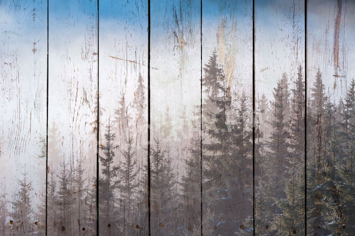 Фактура дерева в интерьере