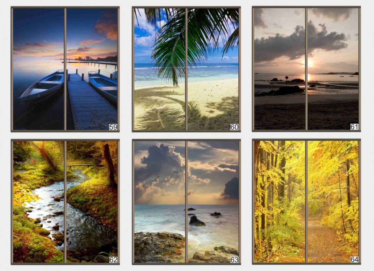 Фотопечать на двери шкафа купе 2 двери