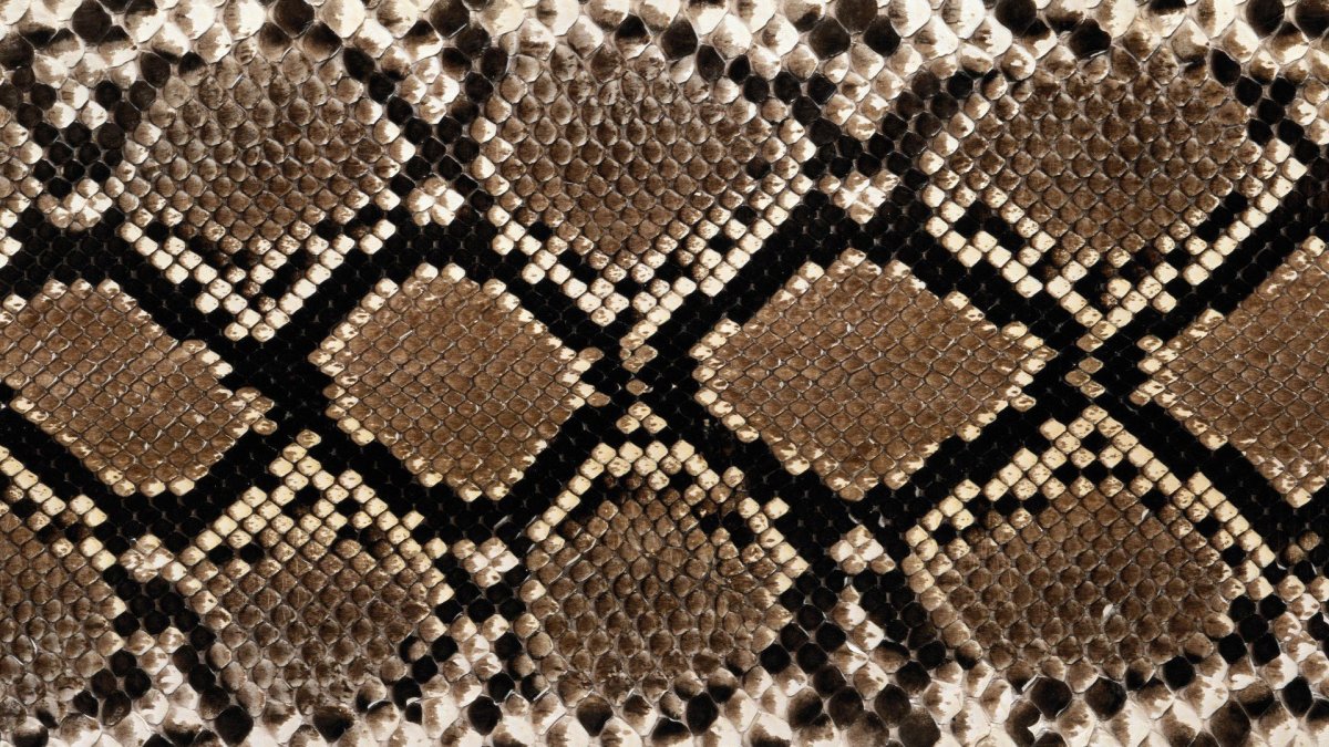 Змеиная кожа
