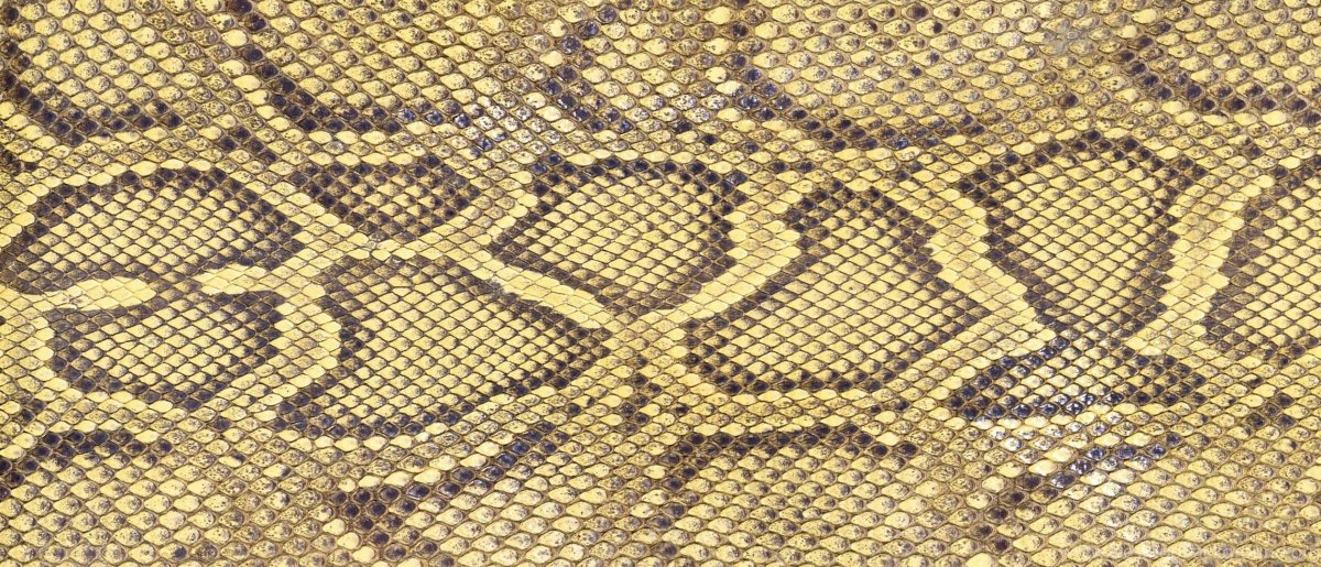 Змеиная кожа