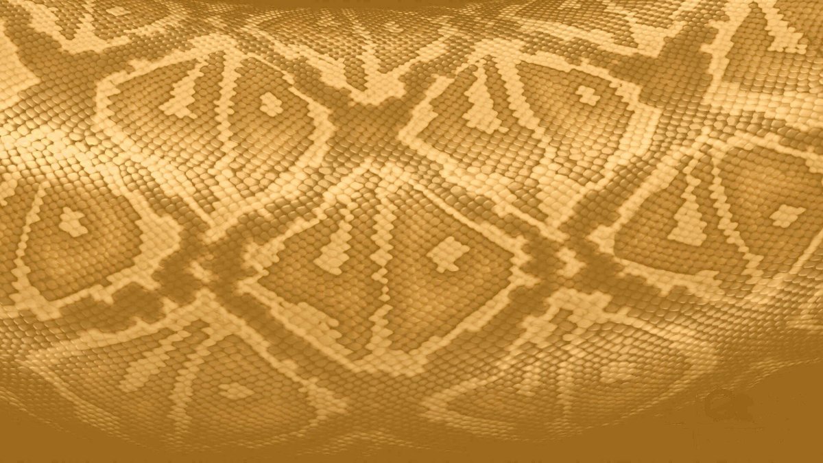 Кожа змеи текстура