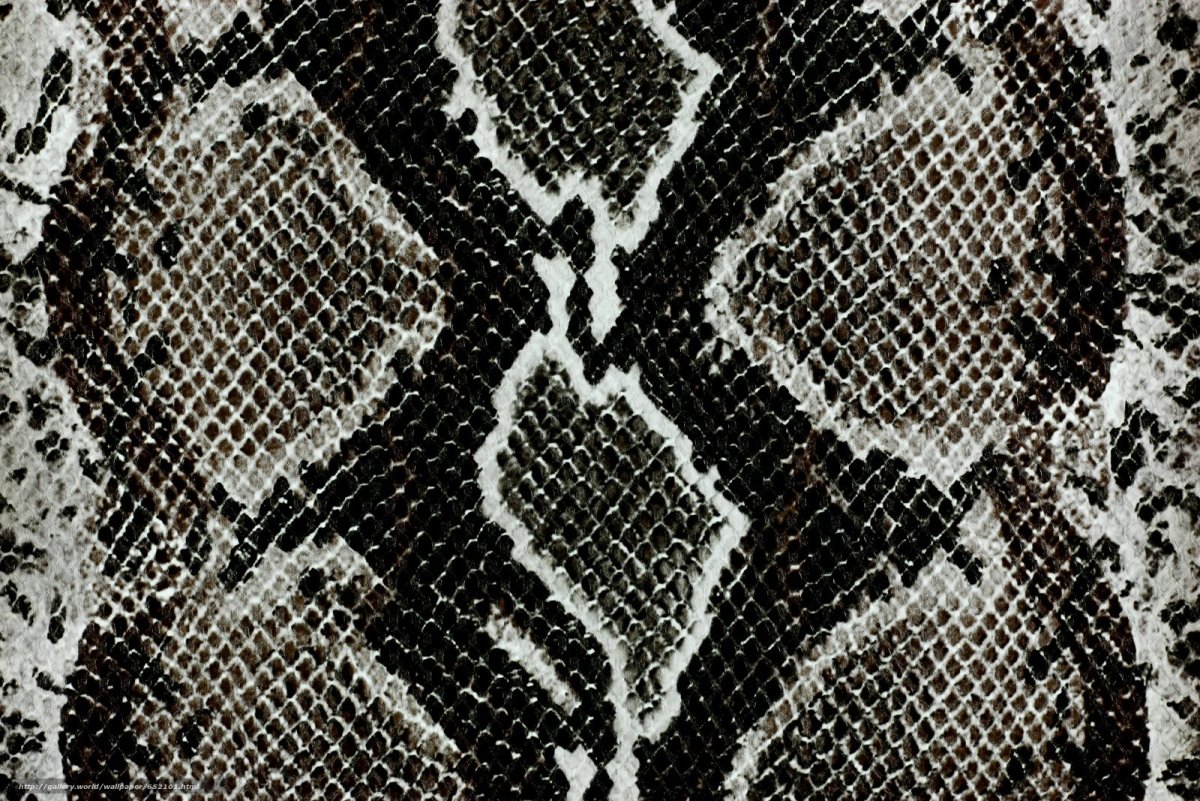 Узор змеиной кожи