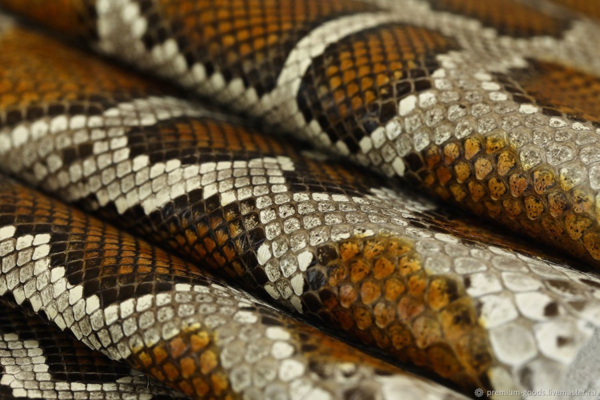 Стеллаж питон 1-3