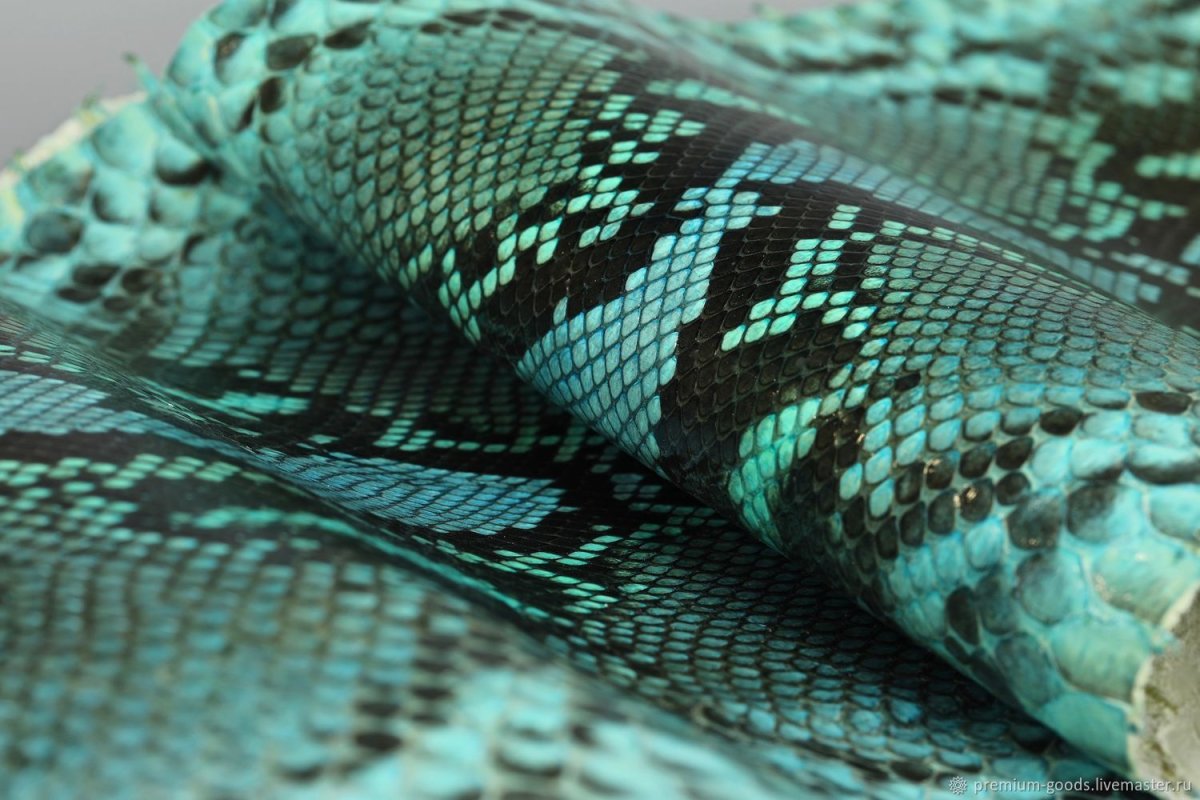 Кожа питона