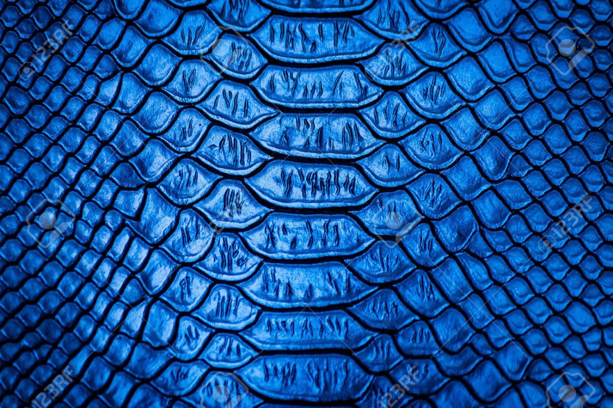 Кожа змеи синяя