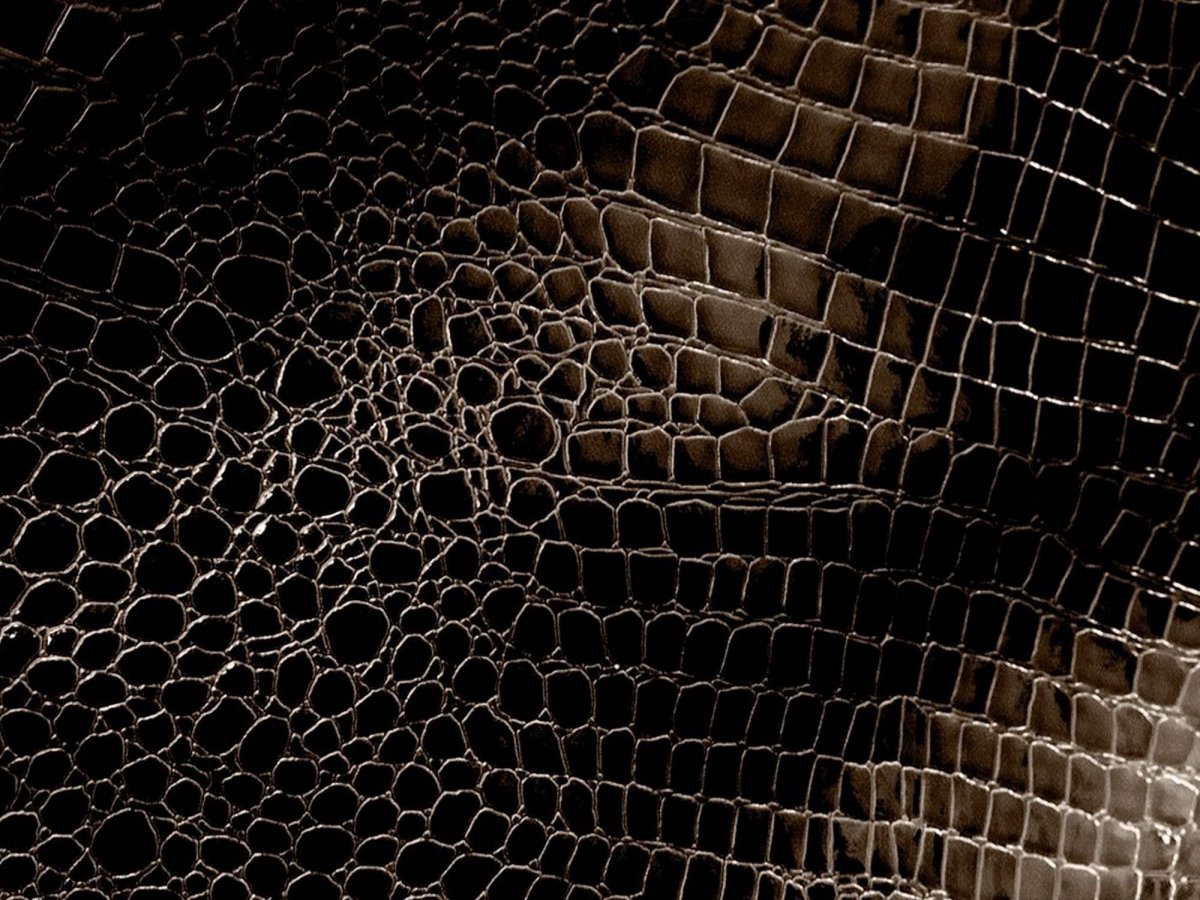 «Кожа крокодила»