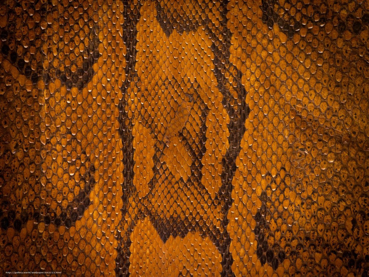 Фактура змеиной кожи