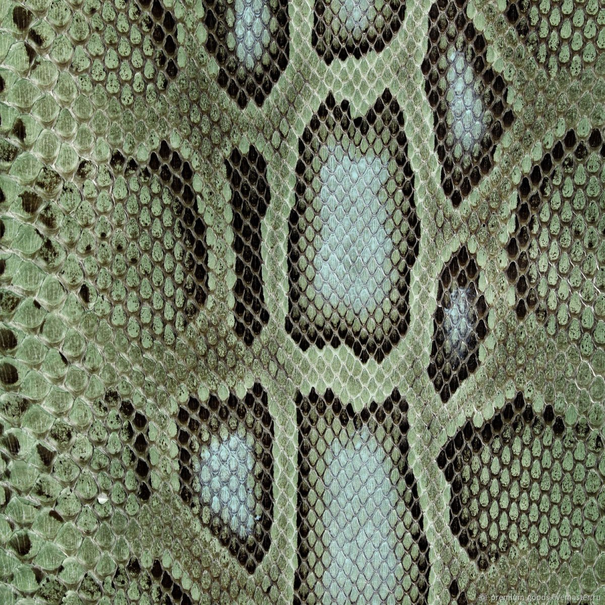 Gian buttery 33514 кожа питона