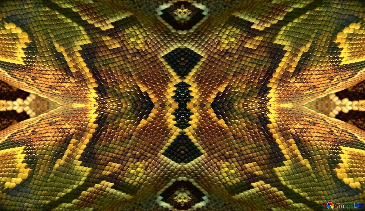 Зеленая Анаконда чешуя