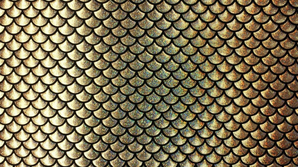 Кольчуга Драконья чешуя