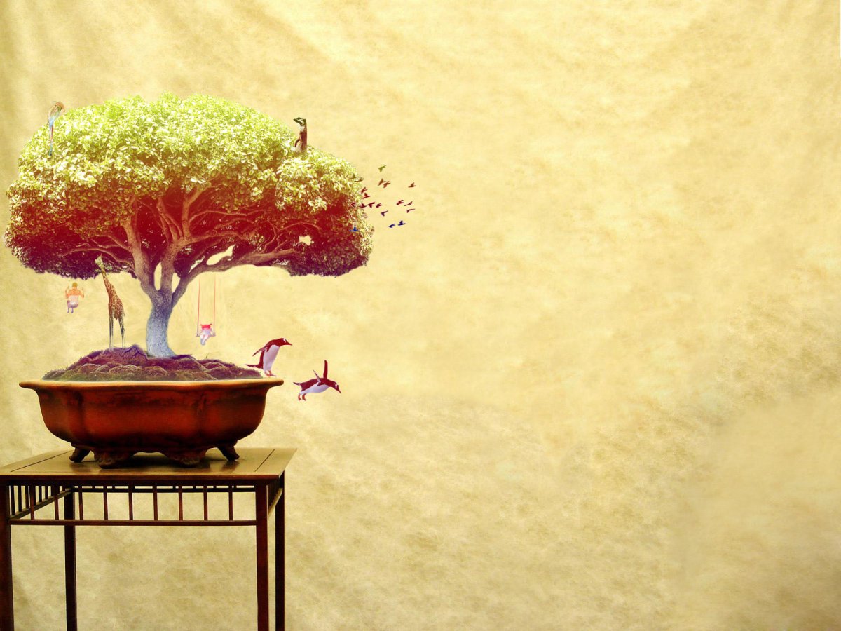 Фотообои бонсай