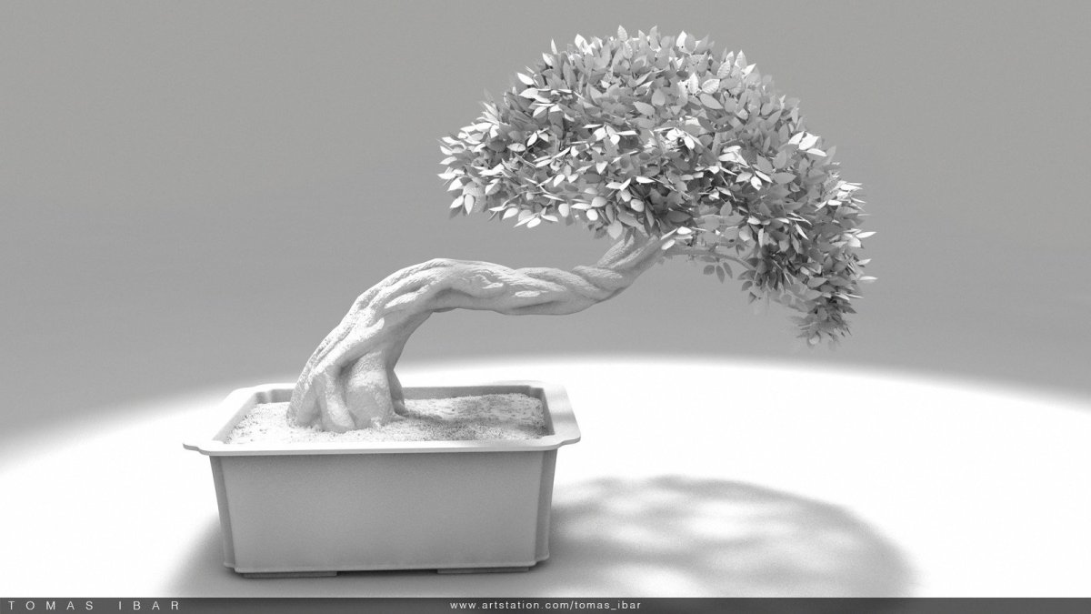 Бонсай обои