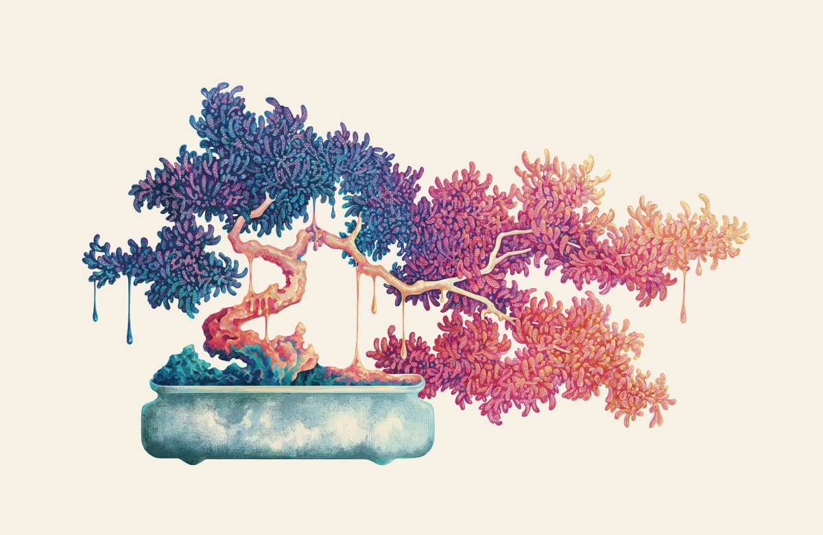 Цветущий бонсай рисунок