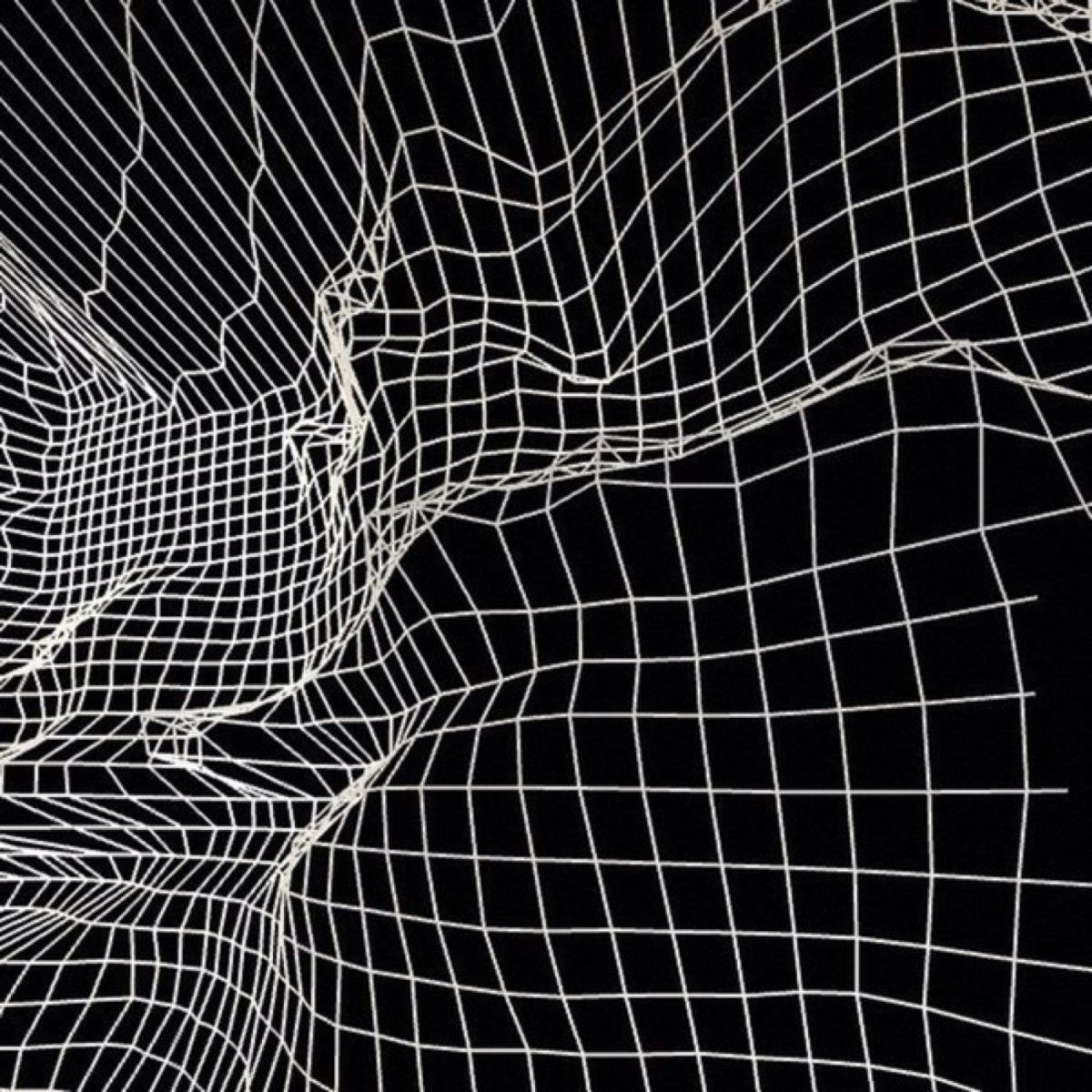 Черно белая сетка