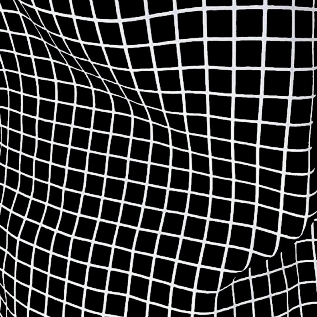 Черно белая сетка