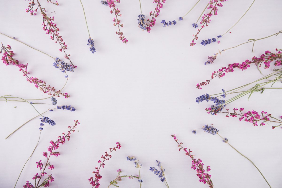 Лаванда фон