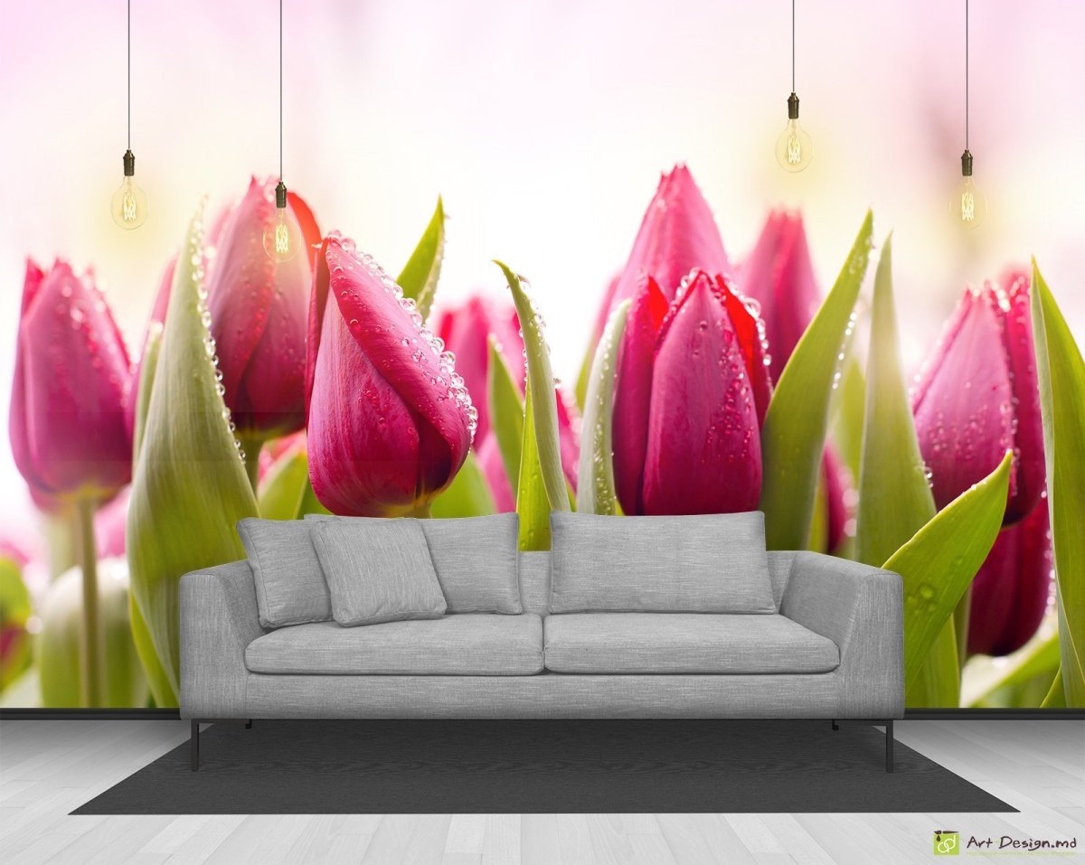 Фотообои тюльпаны