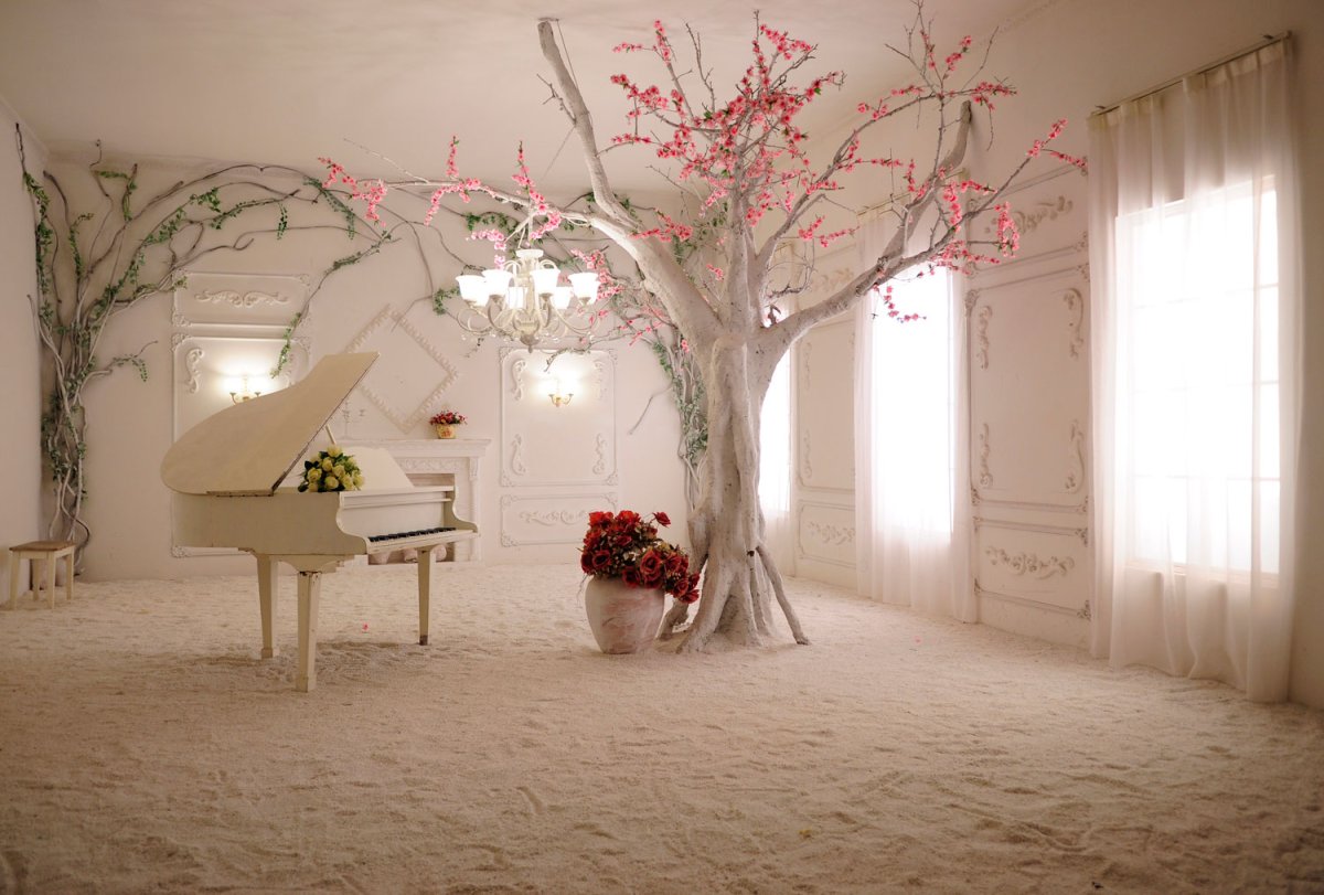 Дерево в фотостудии