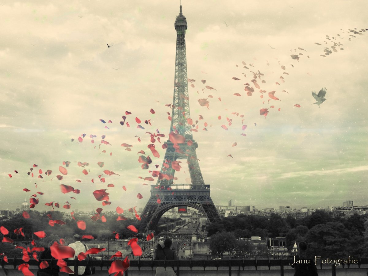 Фон Париж Эйфелева башня