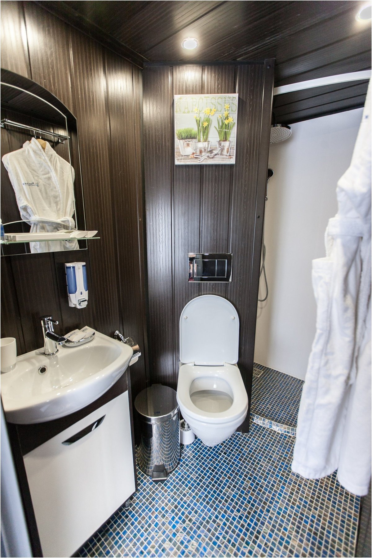 Теплоход Алексей толстой