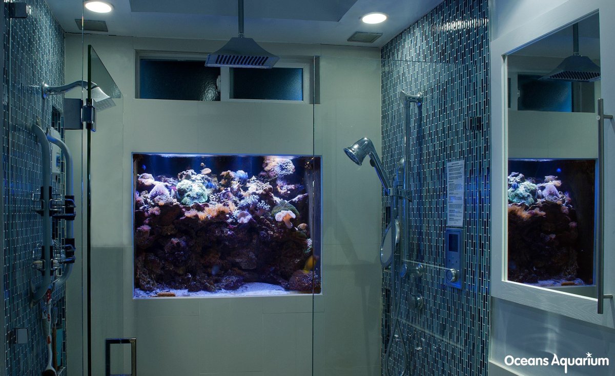 Аквариум в ванной