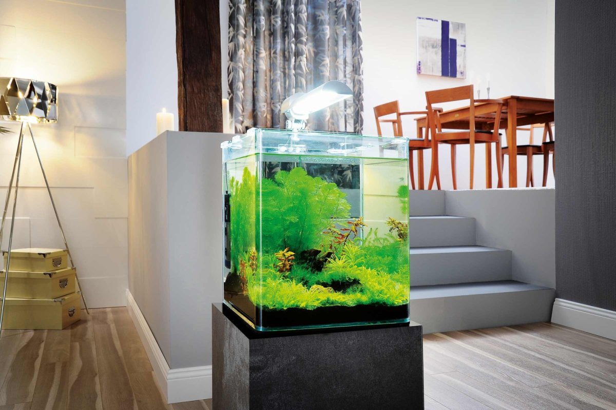 Аква Гесса нано аквариум