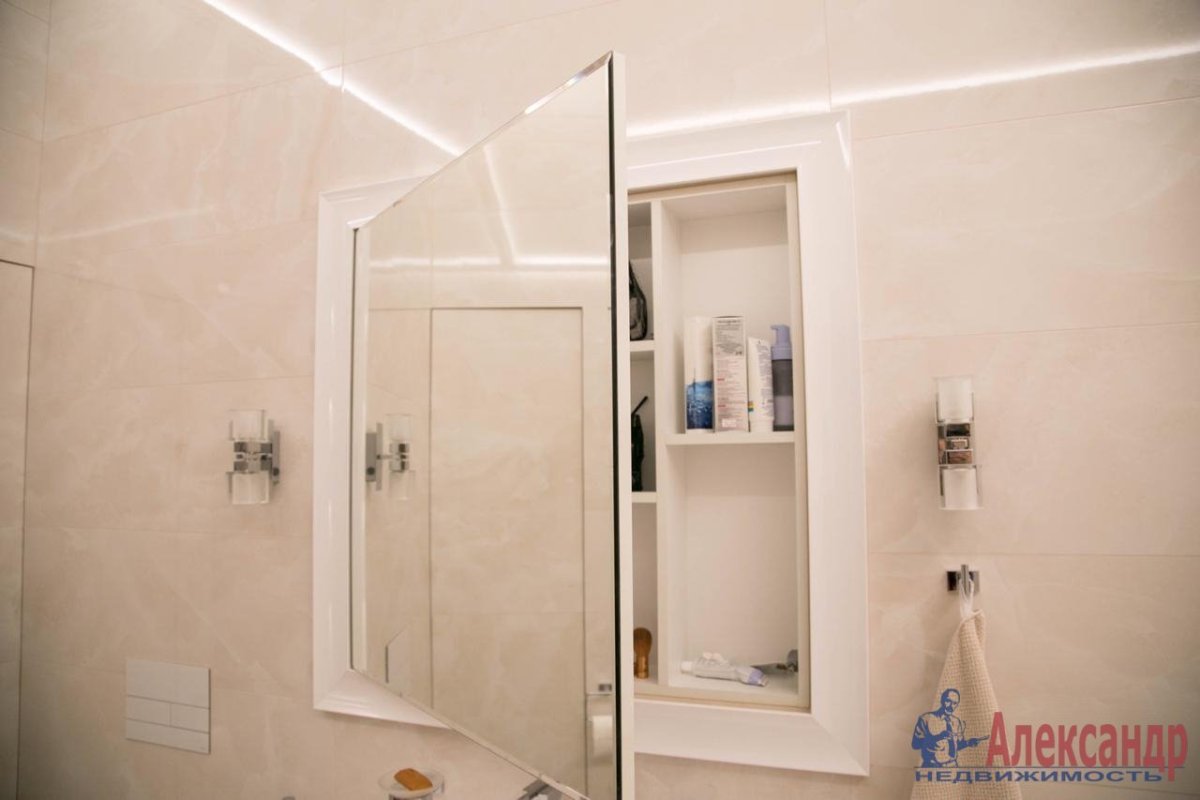 Зеркальная дверца в нишу