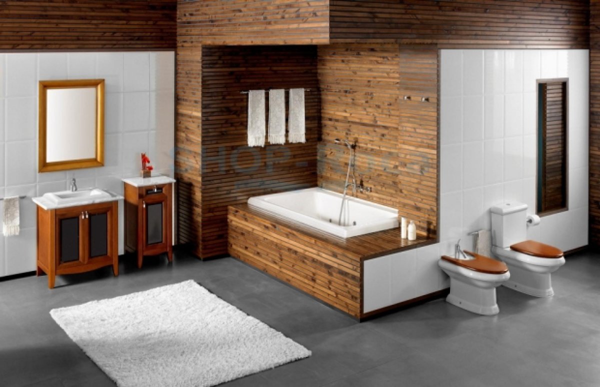 Подвесной унитаз Roca America