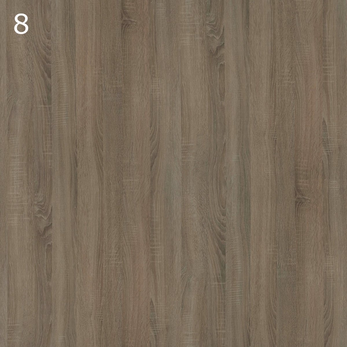 3813 Орех Барселона