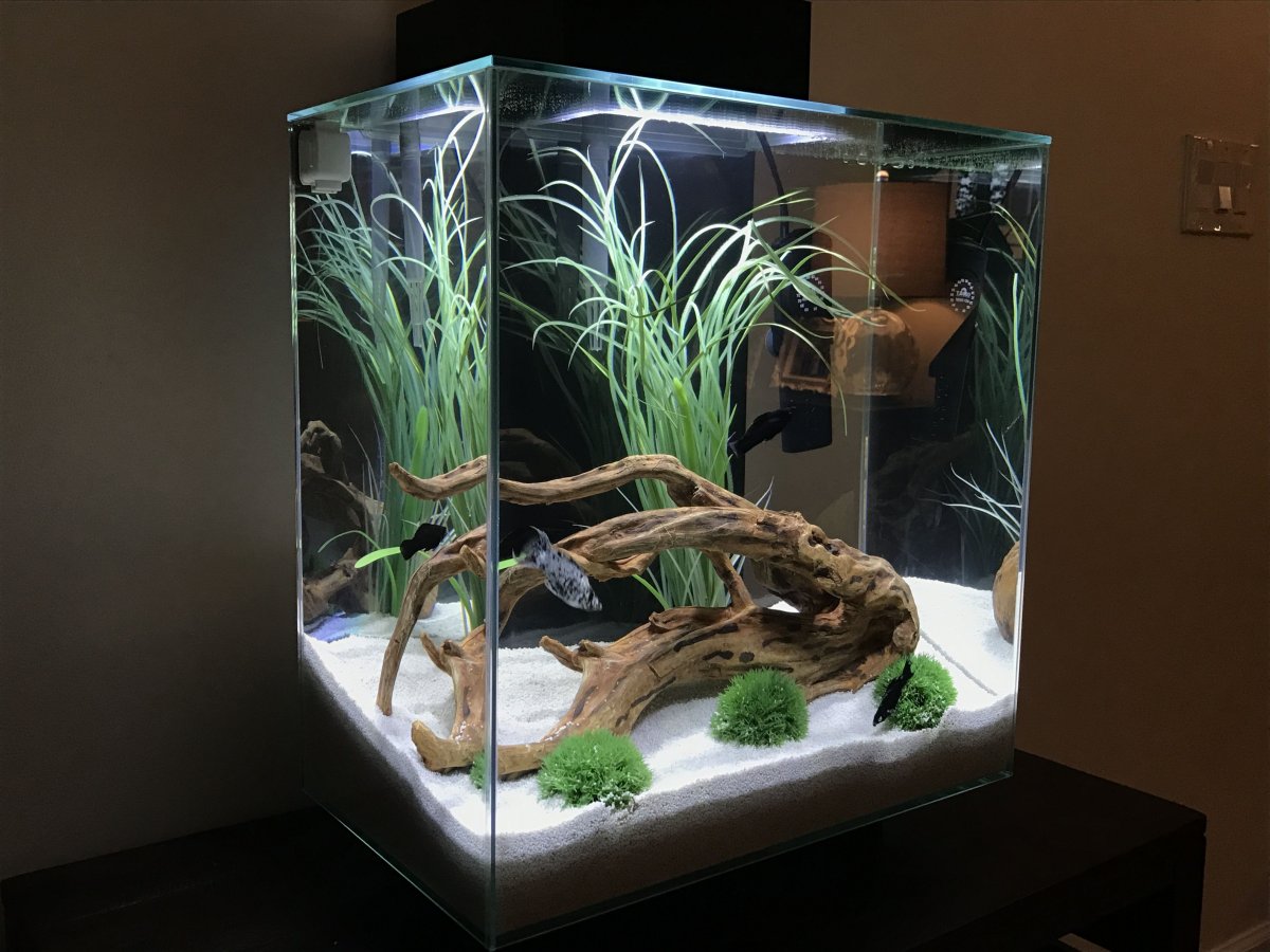 Fluval Edge 11024