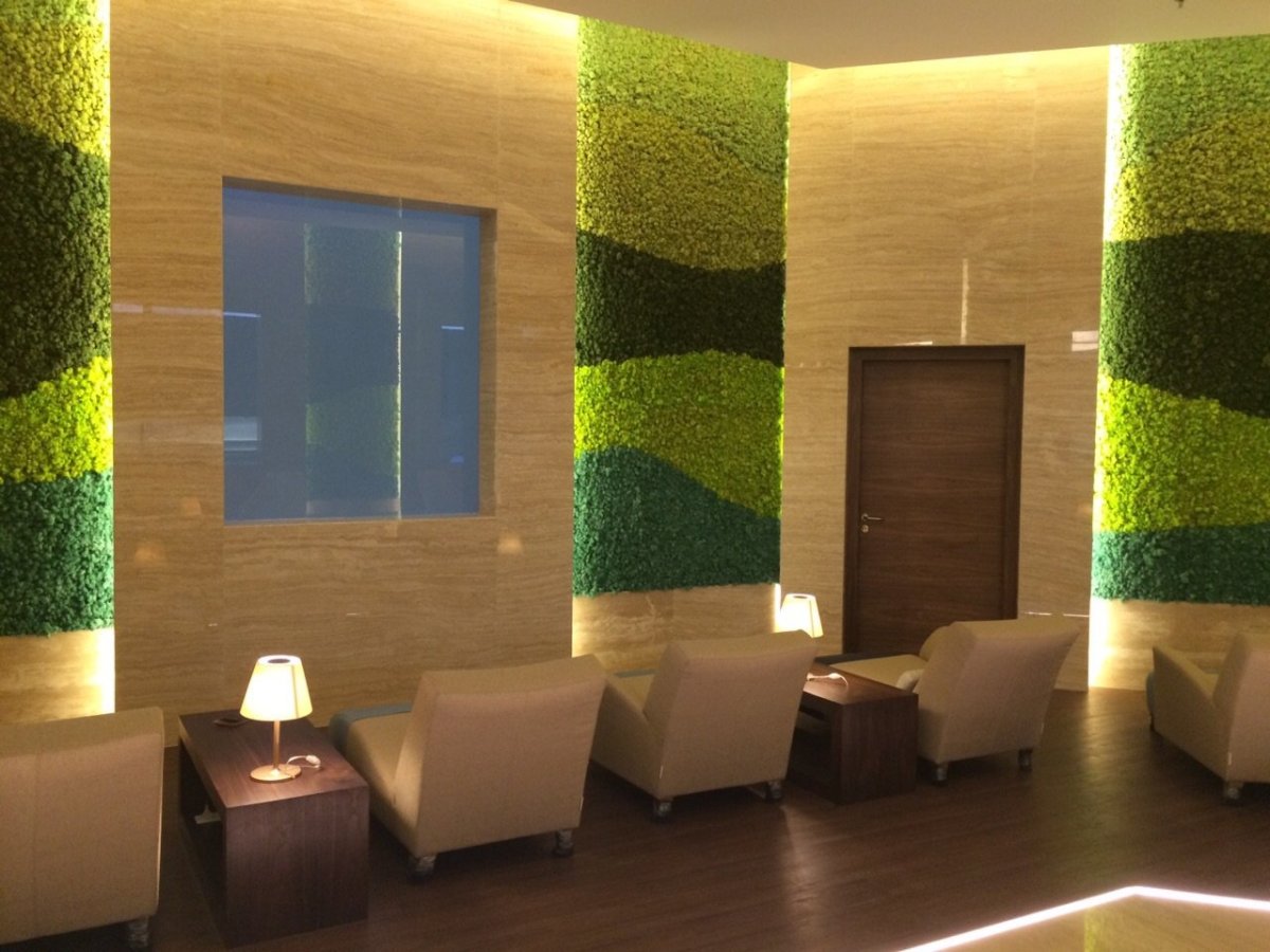 Живые зеленые стены natural Greenwalls