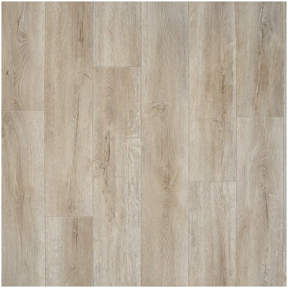 Линолеум Таркетт 4,5мм Гладиатор