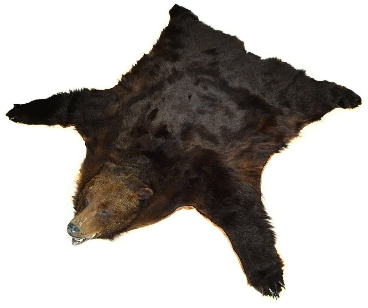 Ковер из шкуры медведя