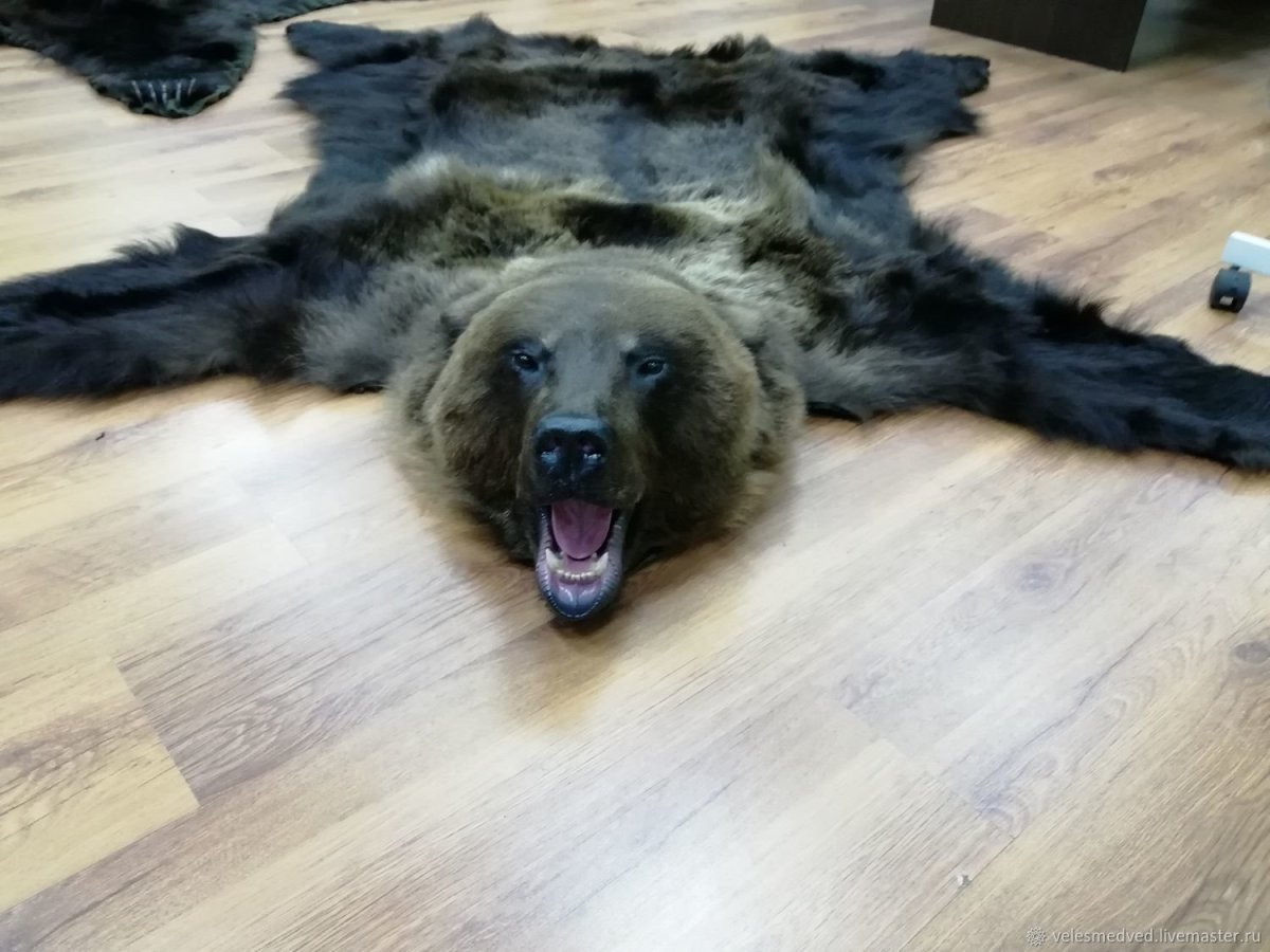 Ковер из медвежьей шкуры