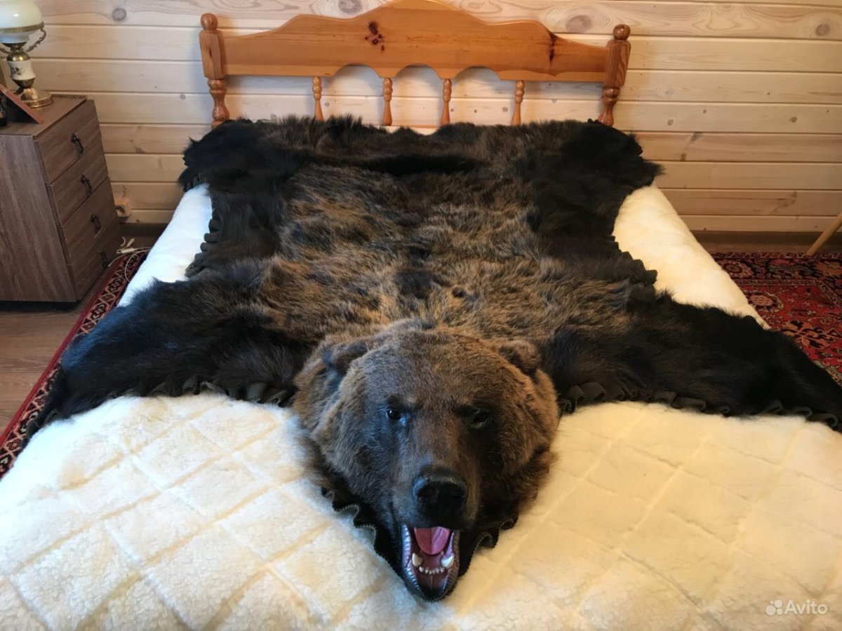 Искусственная шкура медведя с головой