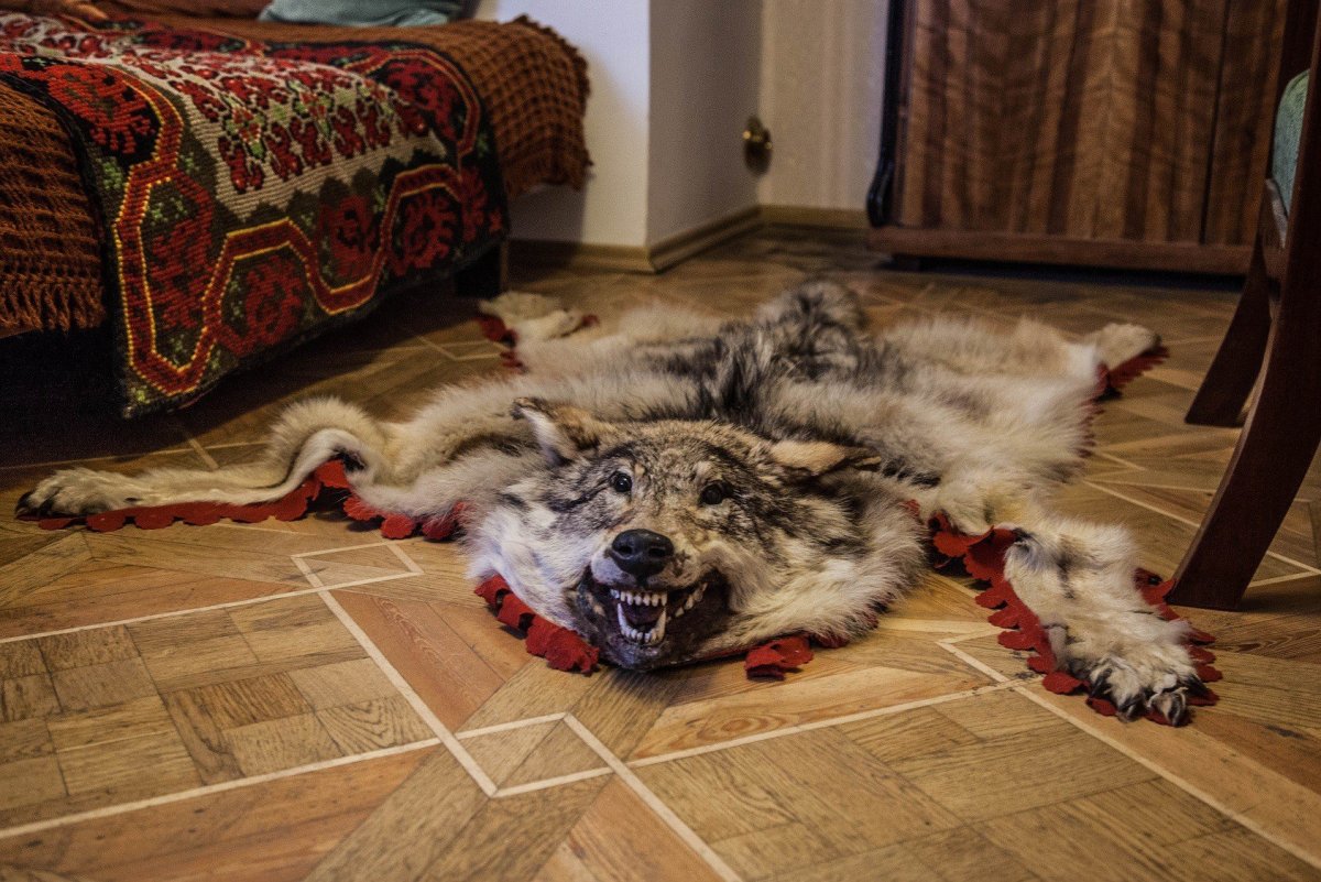 Шкуры животных на пол