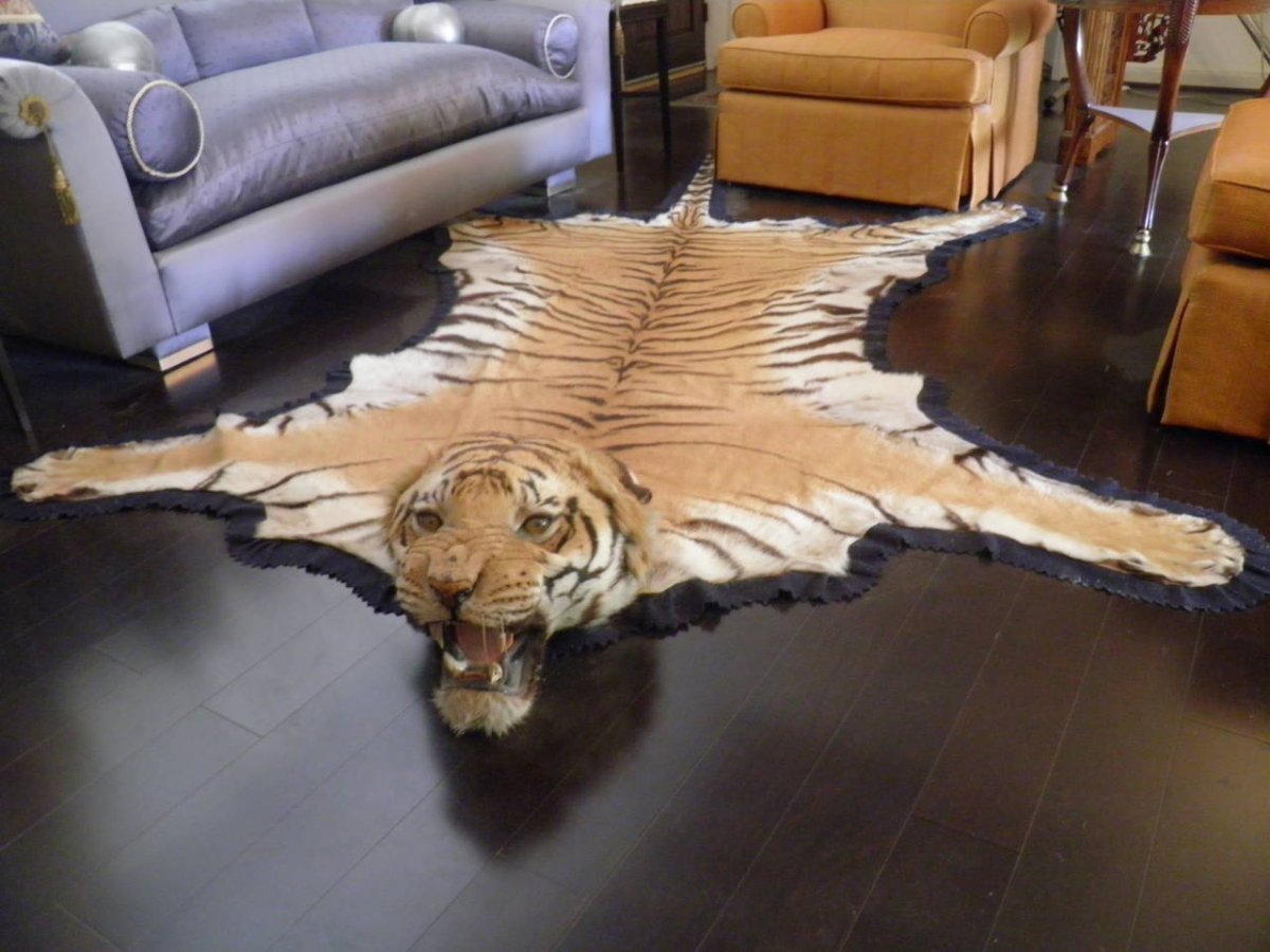 Ковер шкура тигра