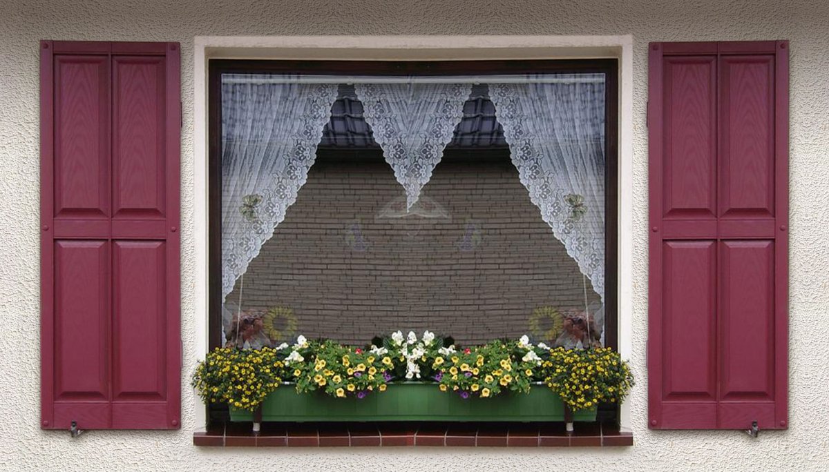 Ставни на окна