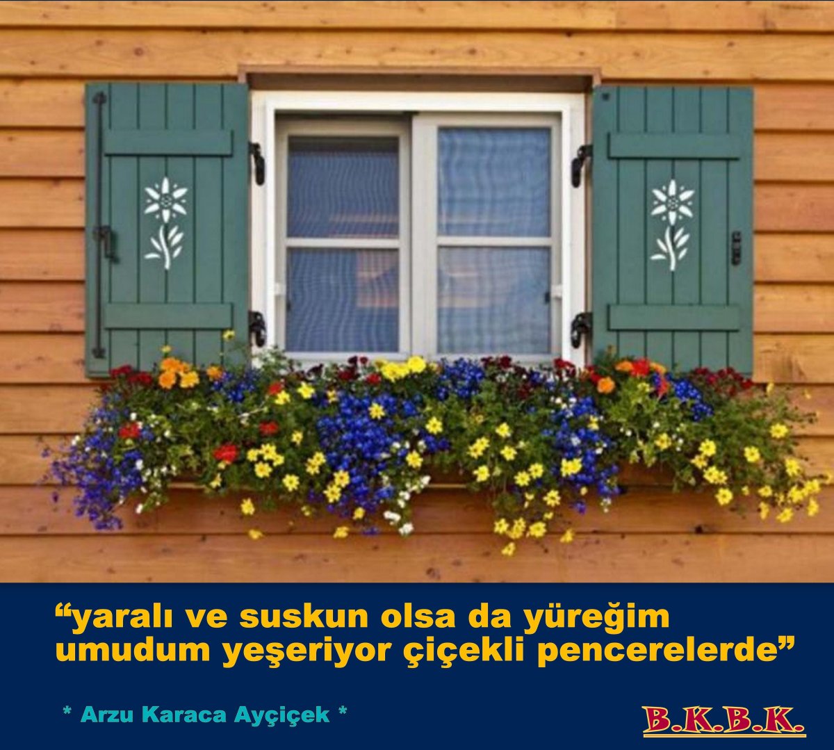 Окна на дачу